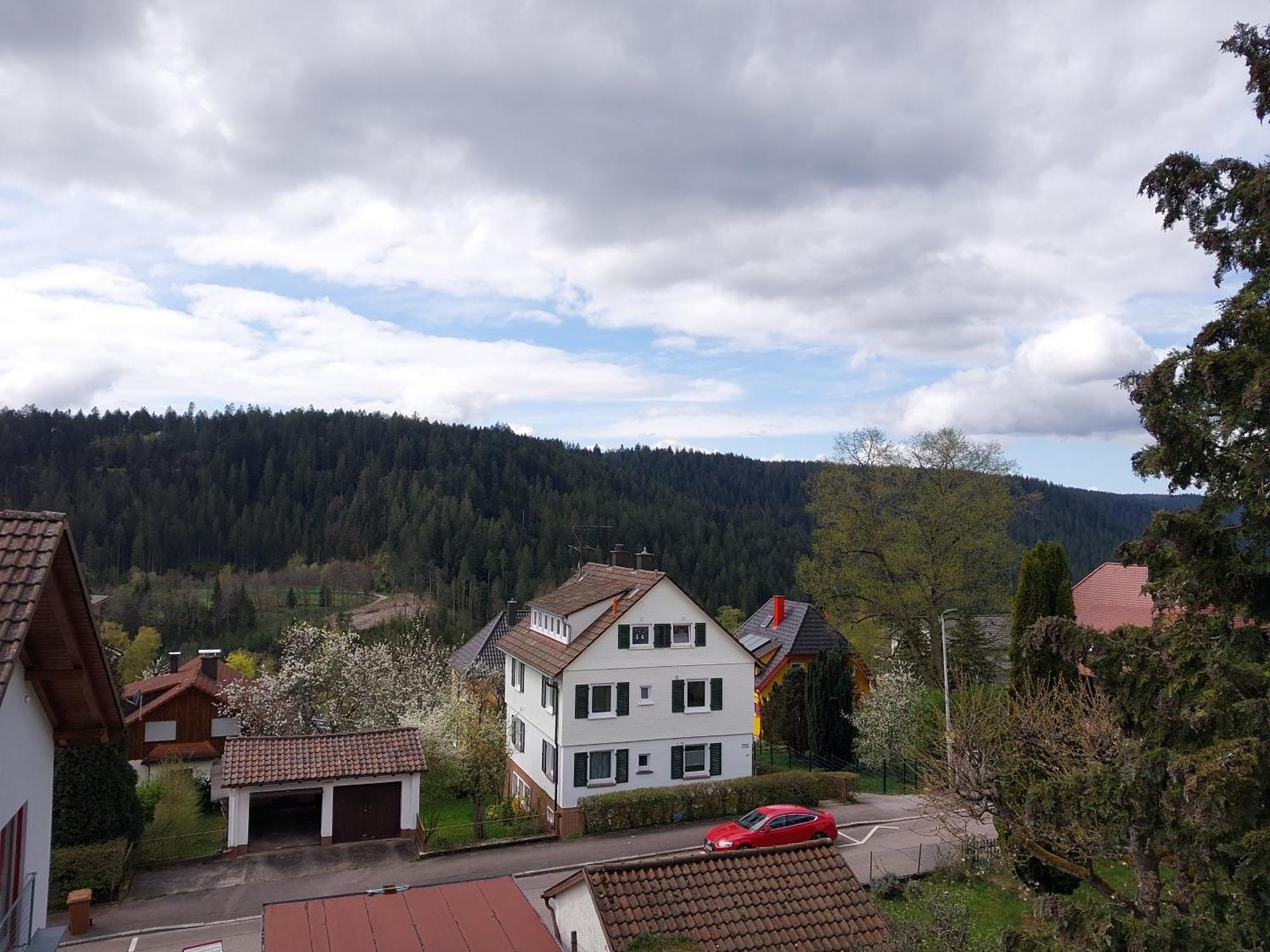 Fewo Salenberg Freudenstadt Exterior photo